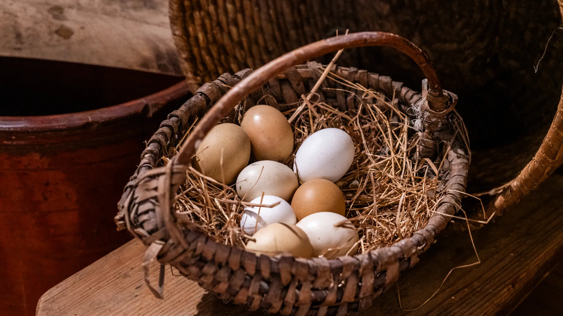 Экспозиция «Флигель-кухня» после реконструкции в музее-заповеднике «Мелихово» округа Чехов