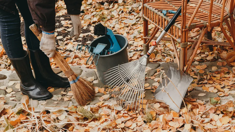 Фото: istockphoto.com/glebchik