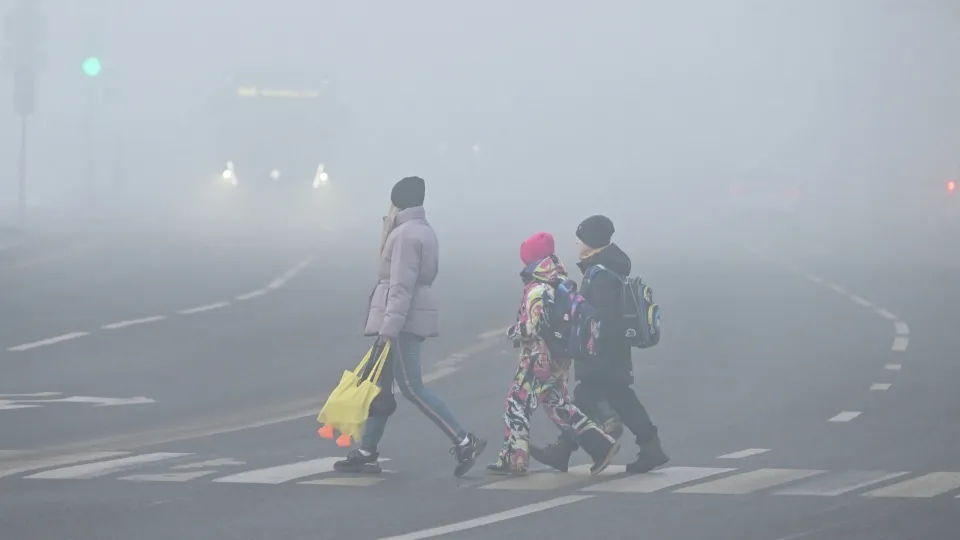 Фото: РИА Новости/Станислав Красильников