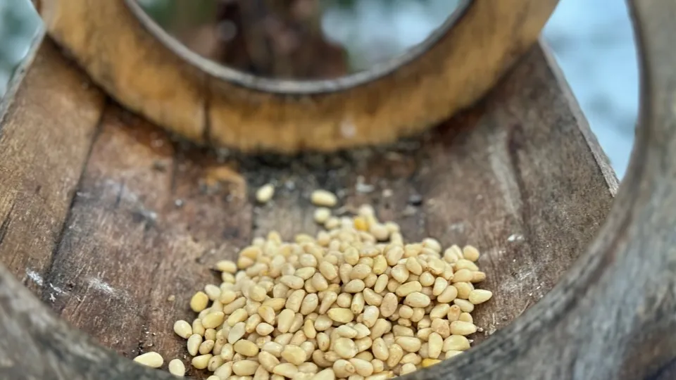 Фото: МедиаБанк Подмосковья/Полина Абраменко