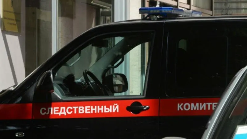 Супругу женщины, похитившей мальчика из больницы Дедовска, разрешили посещать ребенка