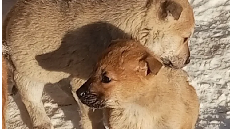 Фото: Подслушано Истра (новая) / ВКонтакте