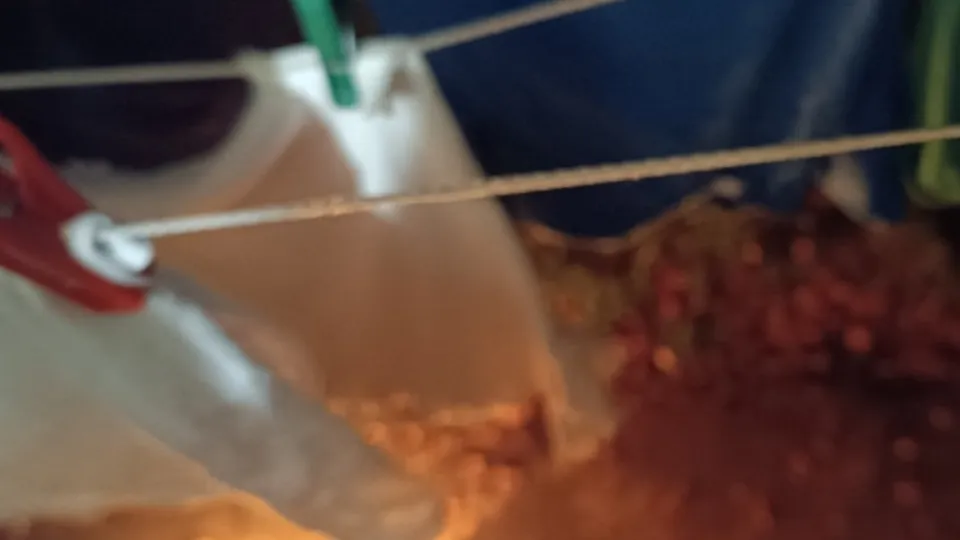 Фото: Нина Ахмедова