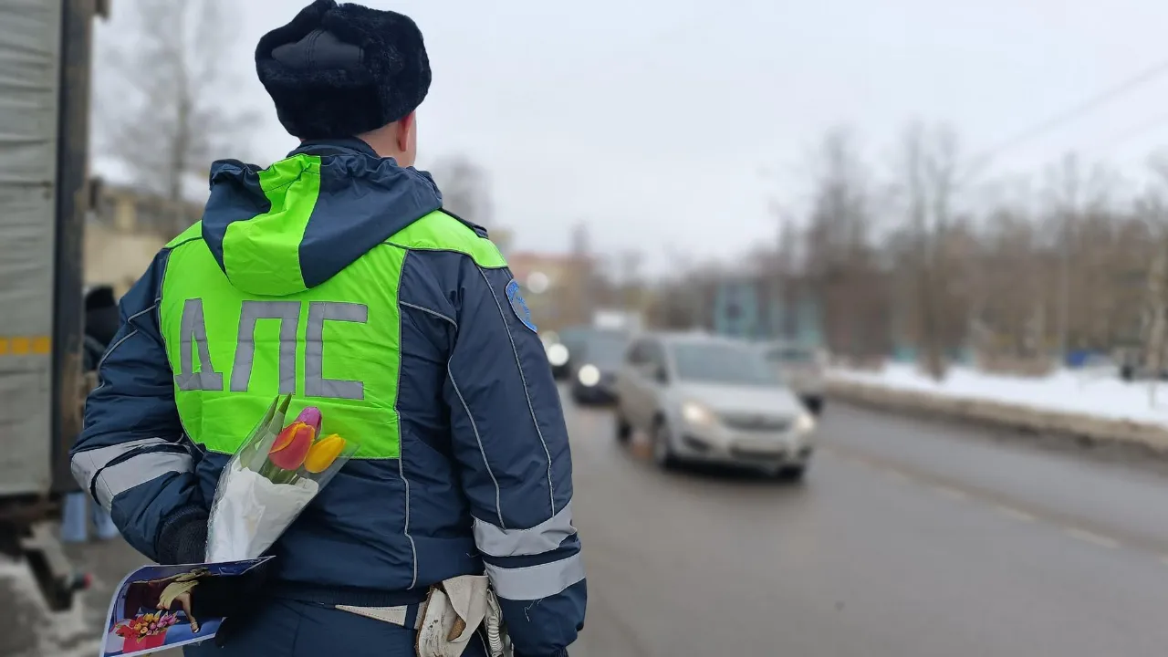 МедиаБанк Подмосковья/Екатерина Федосеева