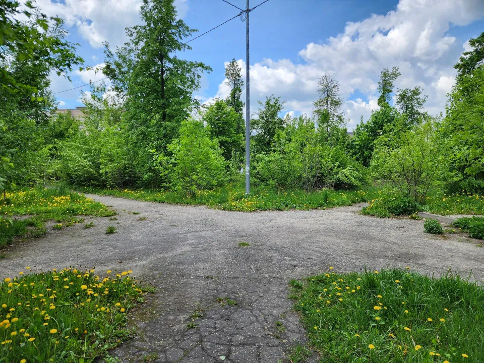 Фото: REGIONS/Ольга Аввакумова