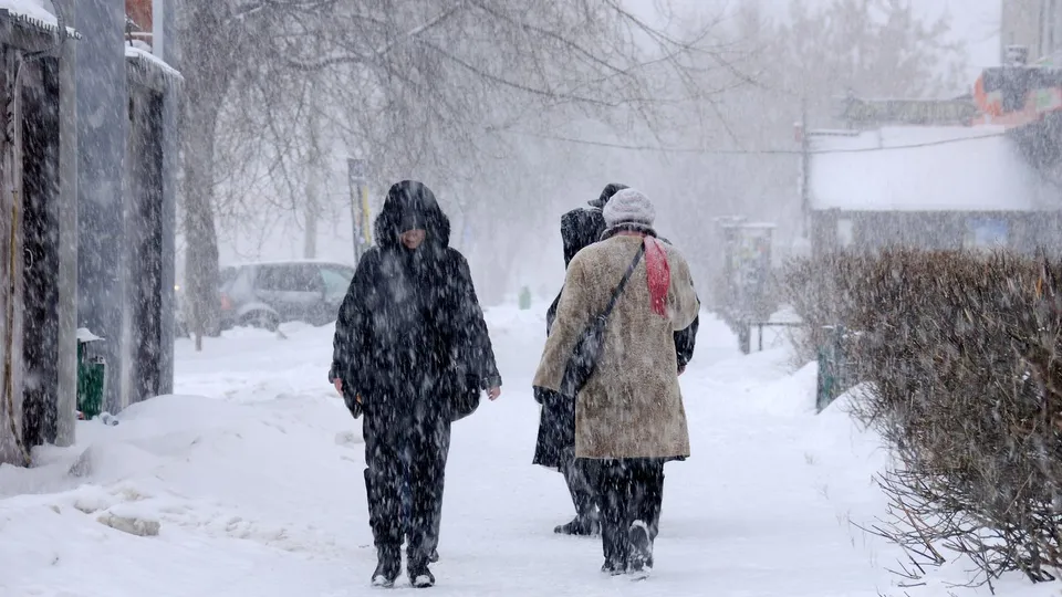 Фото: медиасток.рф