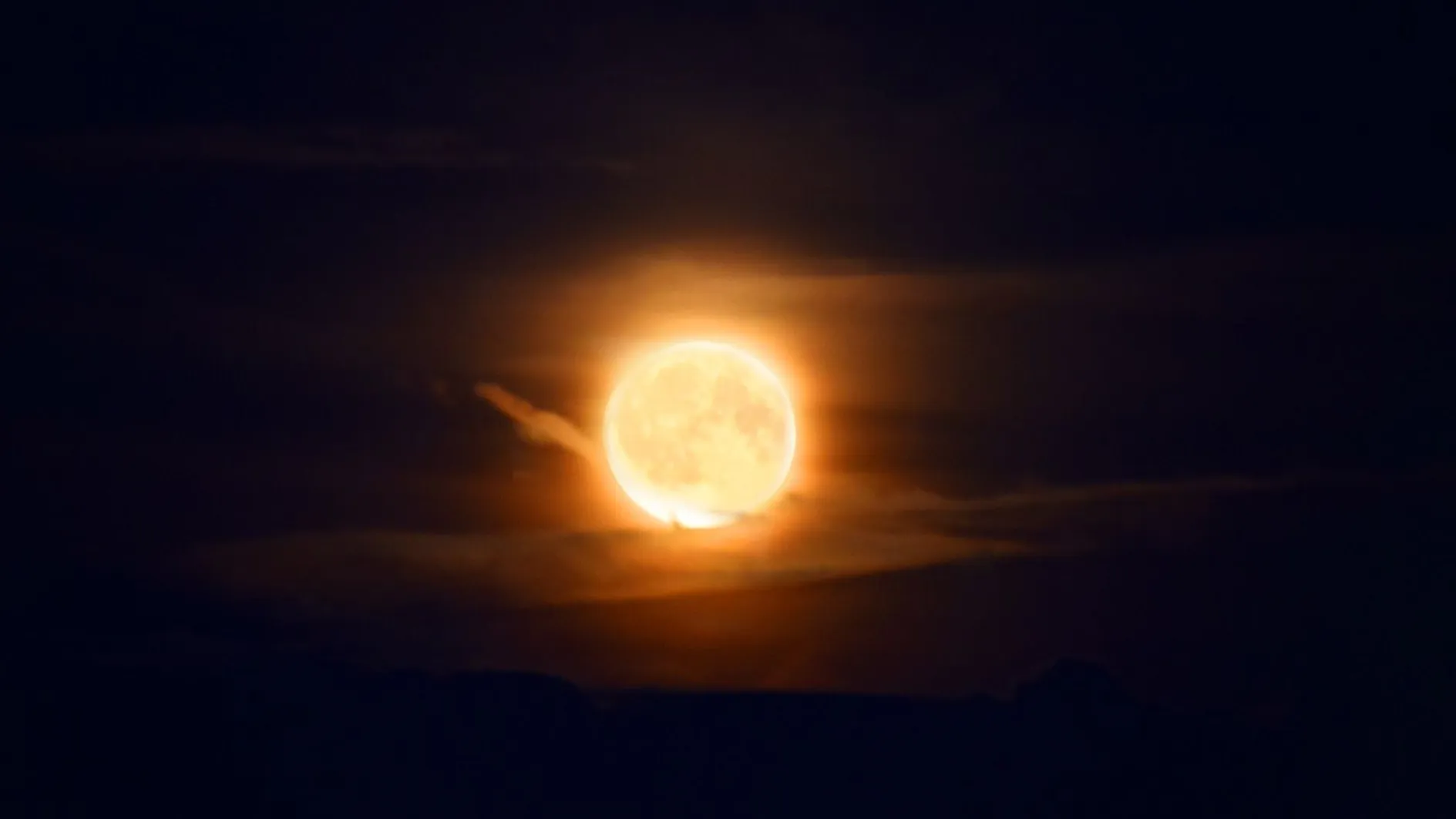 Фото: МедиаБанк Подмосковья/Галина Добрынина