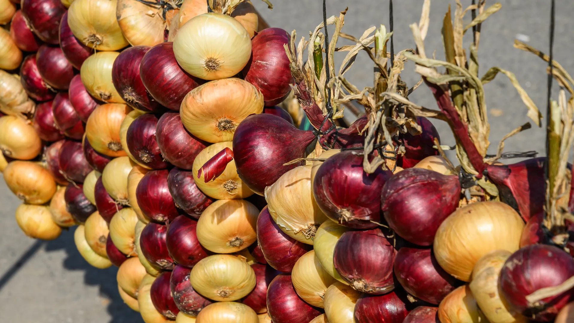 Подмосковный врач Волкова назвала самые полезные осенние продукты