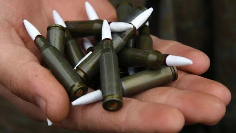 Подозреваемого в хранении боеприпасов задержали в Подмосковье