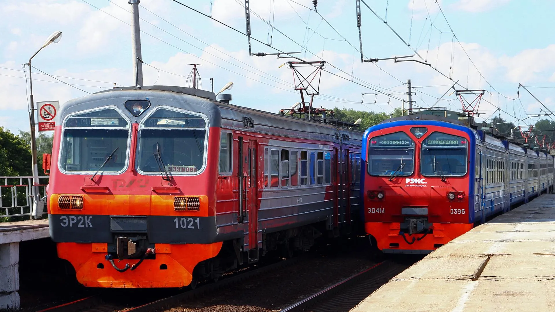 Фото: Алла Федина, фотобанк Московской области