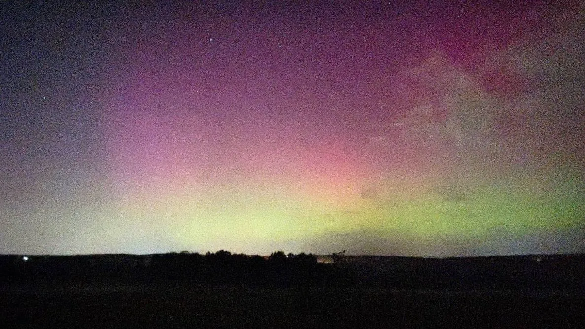 Фото: Дарья Леонова