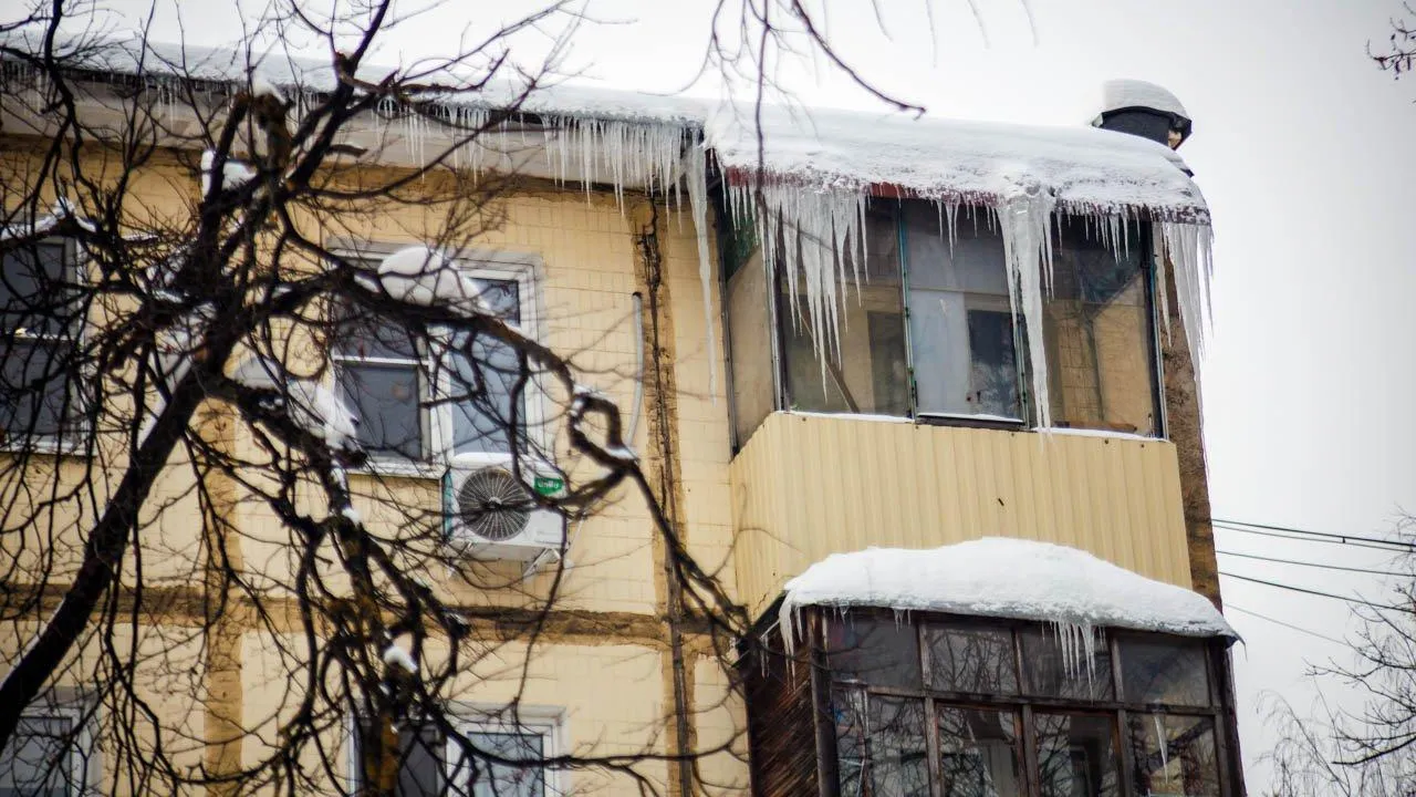 REGIONS/Сергей Шешин