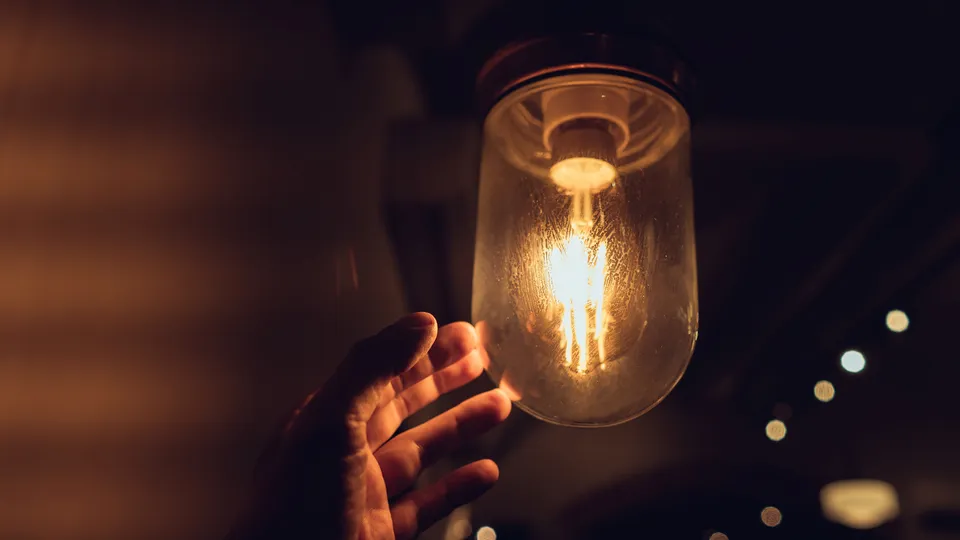 Фото: freepik.com