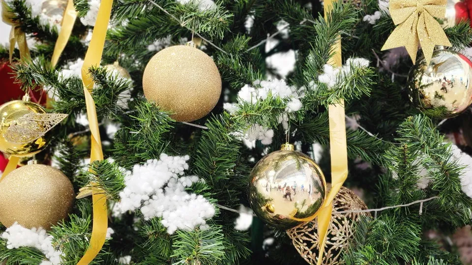 Фото: МедиаБанк Подмосковья/Максим Сафронов