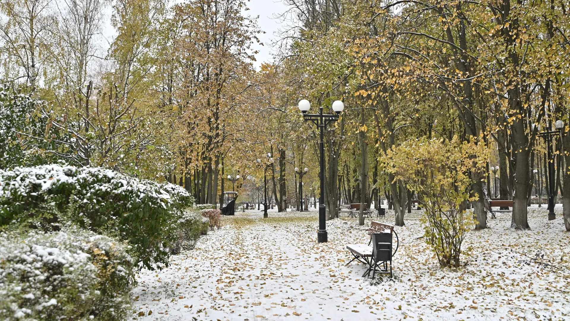 Фото: медиасток.рф