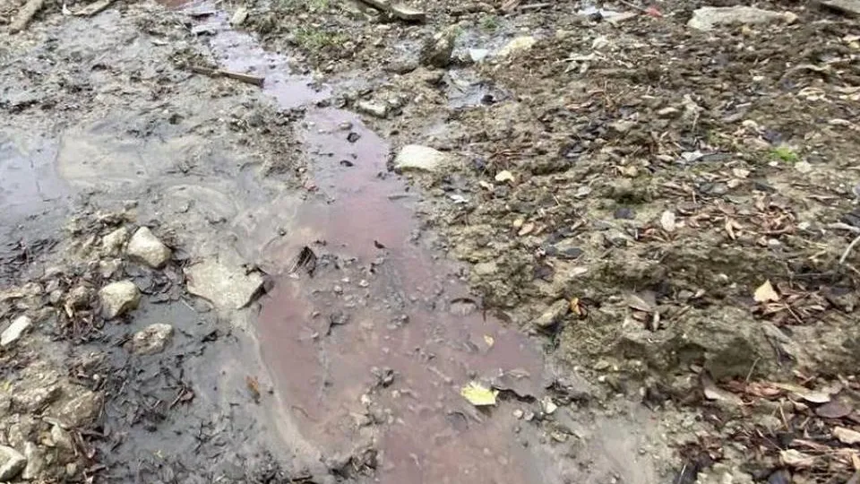 Фото: пресс-служба Министерства экологии и природопользования Московской области