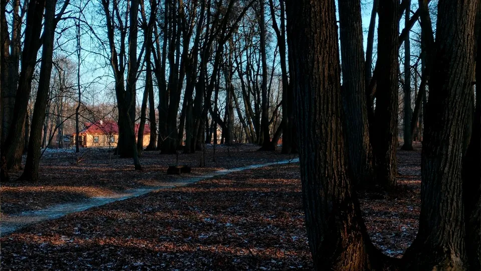 Фото: vk.com/Заповедное Даровое