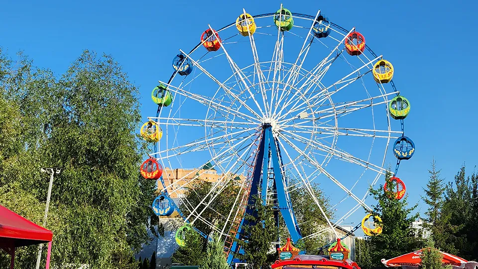 Фото: Александр Степушкин