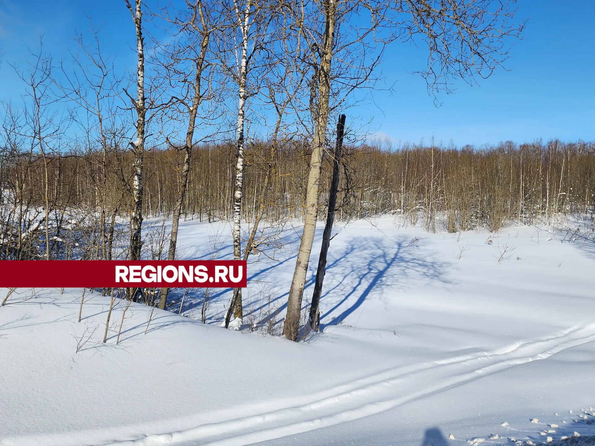 Фото: Светлана Борщева