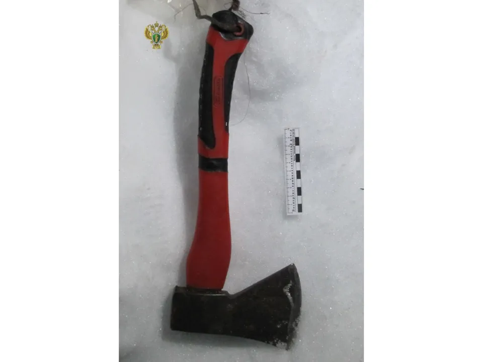 Фото: Прокуратура Московской области