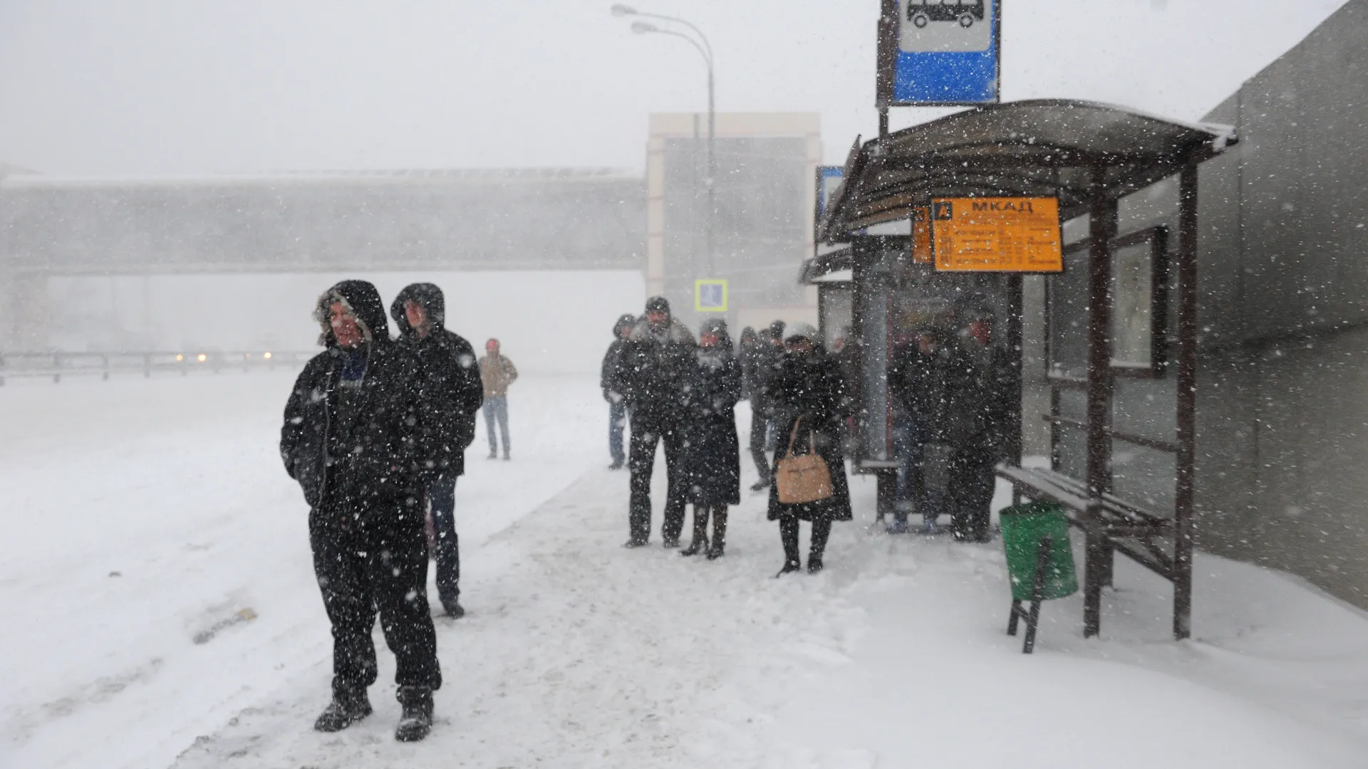 Подмосковье накроет сильный снегопад с метелью: в регионе объявлен желтый уровень опасности