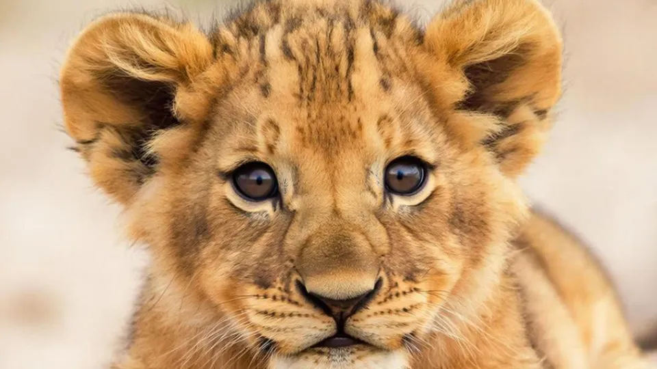 Фото: REGIONS/Сгенерировано нейросетью