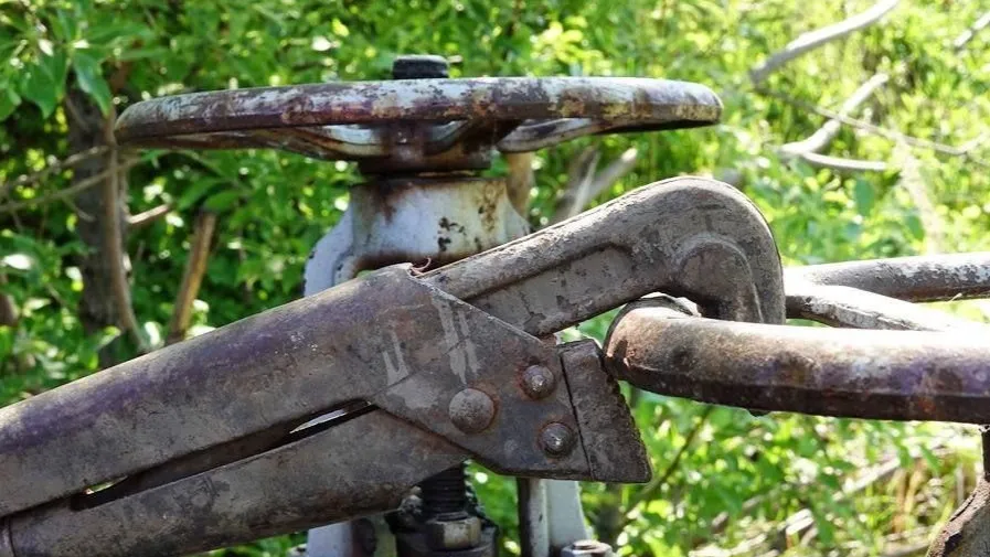 Фото: Дарья Леонова