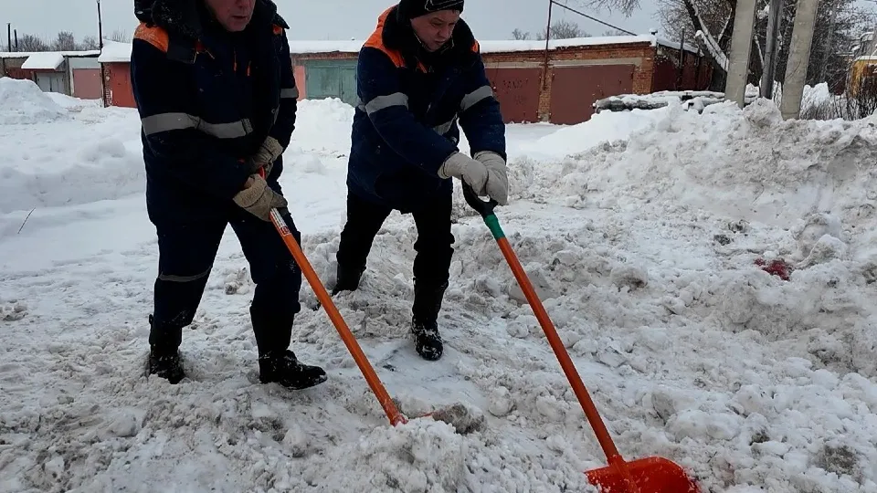 Фото: ТВ «Поиск»