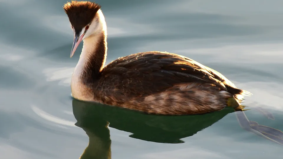 Фото: РИА Новости/Игорь Онучин