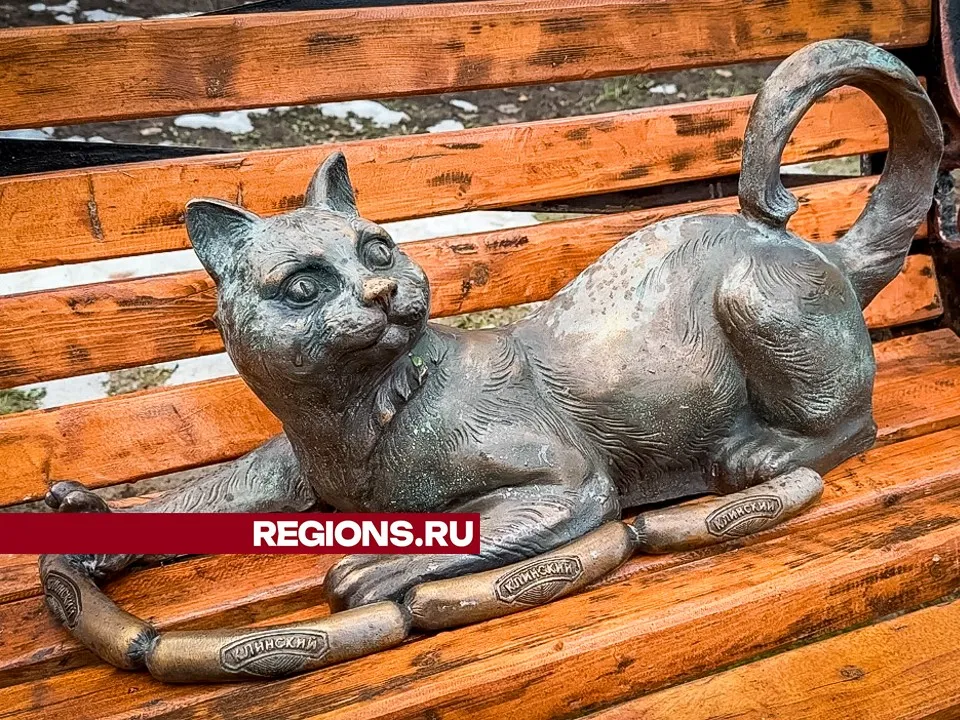 Фото: МедиаБанк Подмосковья/Данила Кирьянов&nbsp;