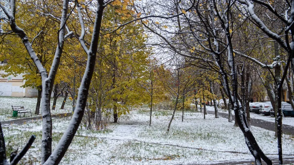 Фото: медиасток.рф