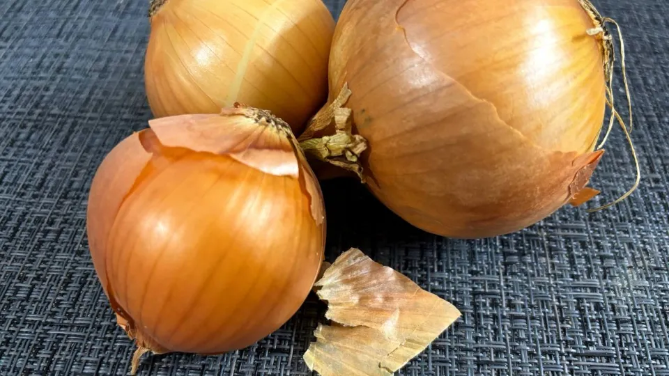 Фото: Василиса Астахова