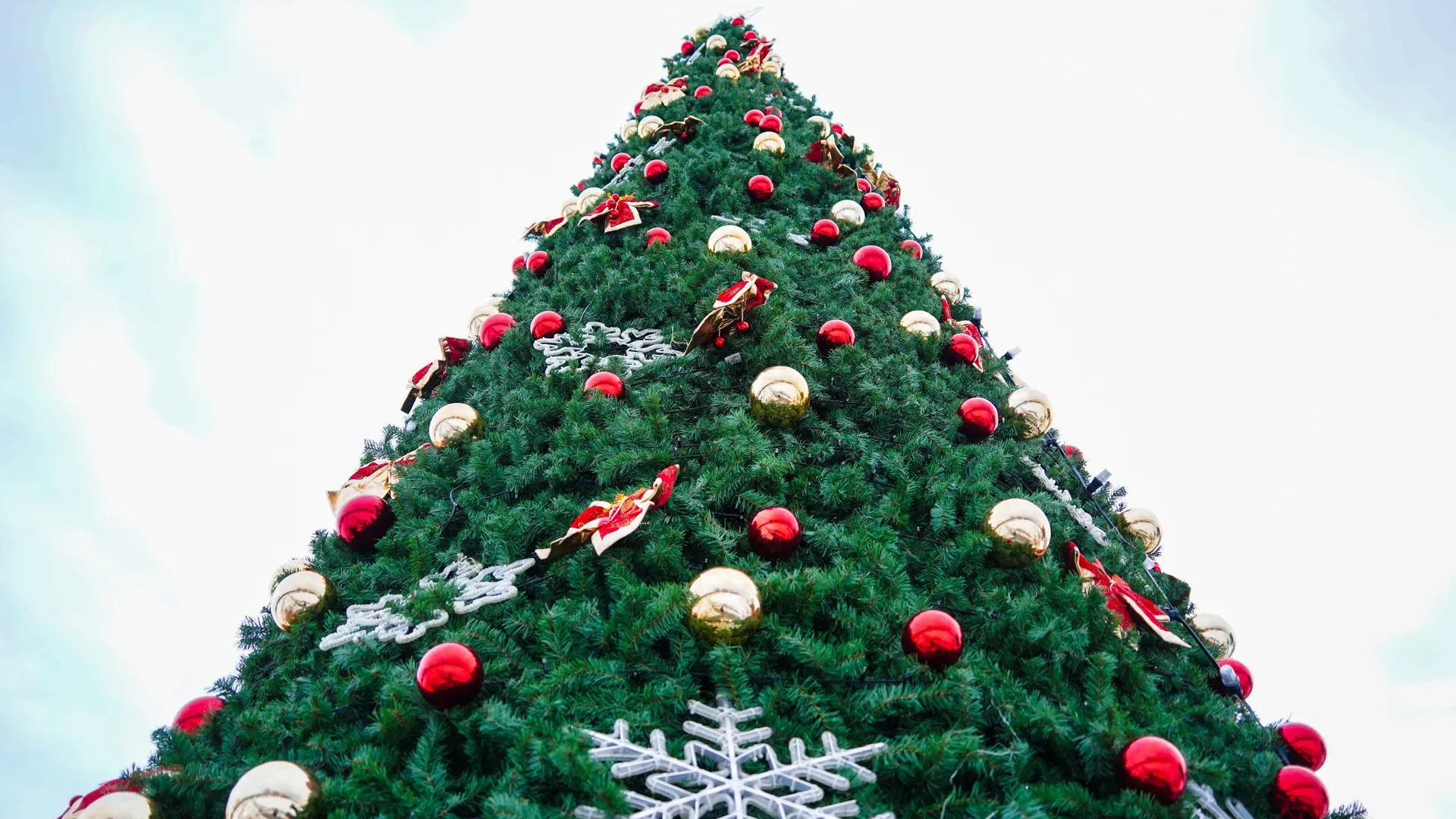 Фото: Даниил Коблов