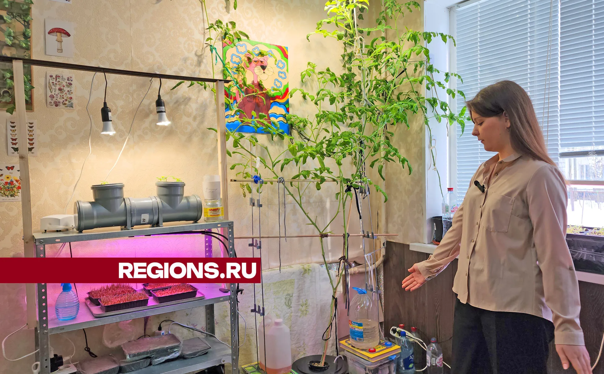 Фото: Андрей Семибратов