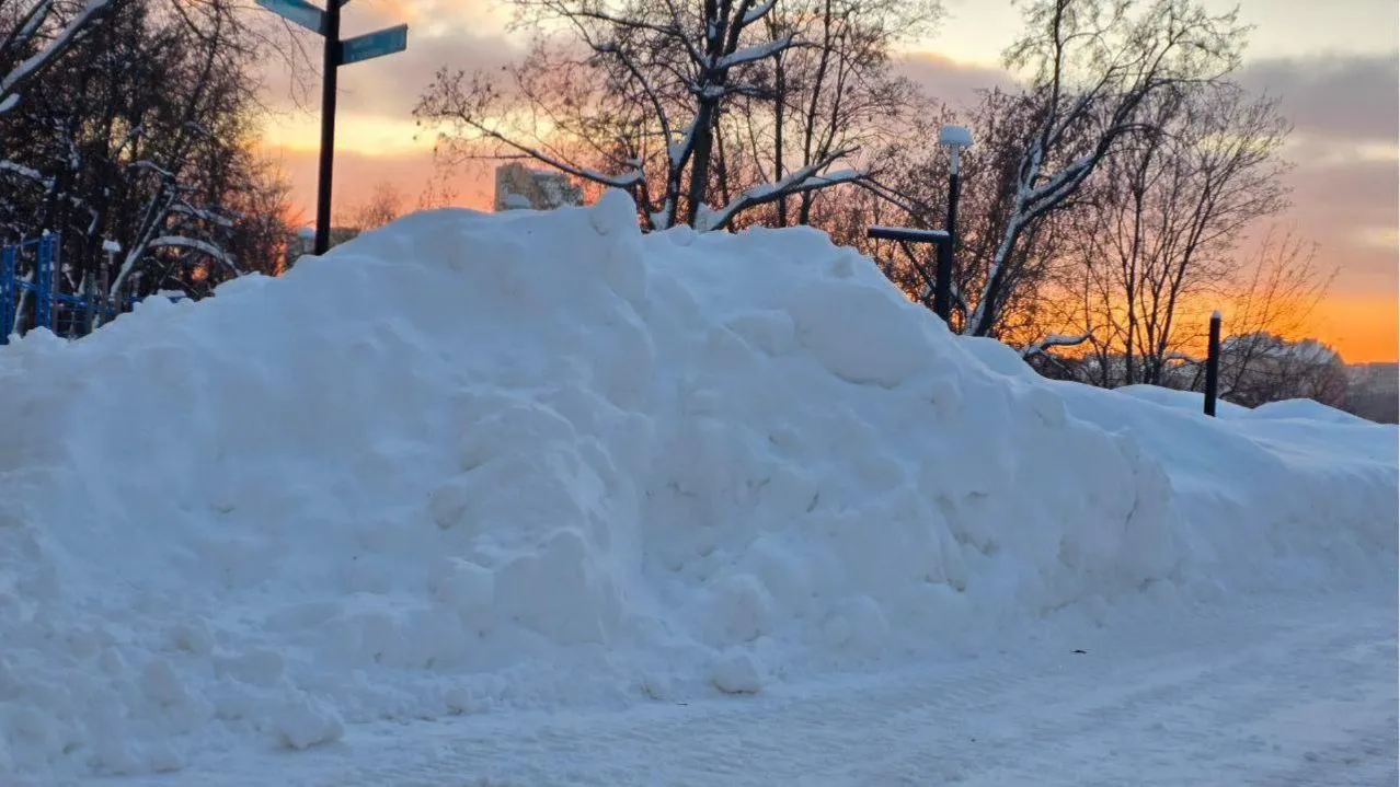 Ольга Ковалева
