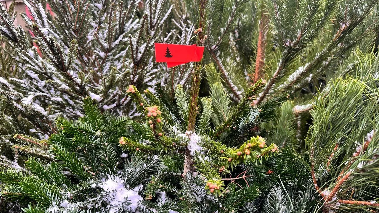 Пресс-служба Минсельхозпрод МО