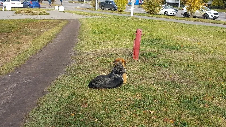 Фото: REGIONS/Олег Книжник