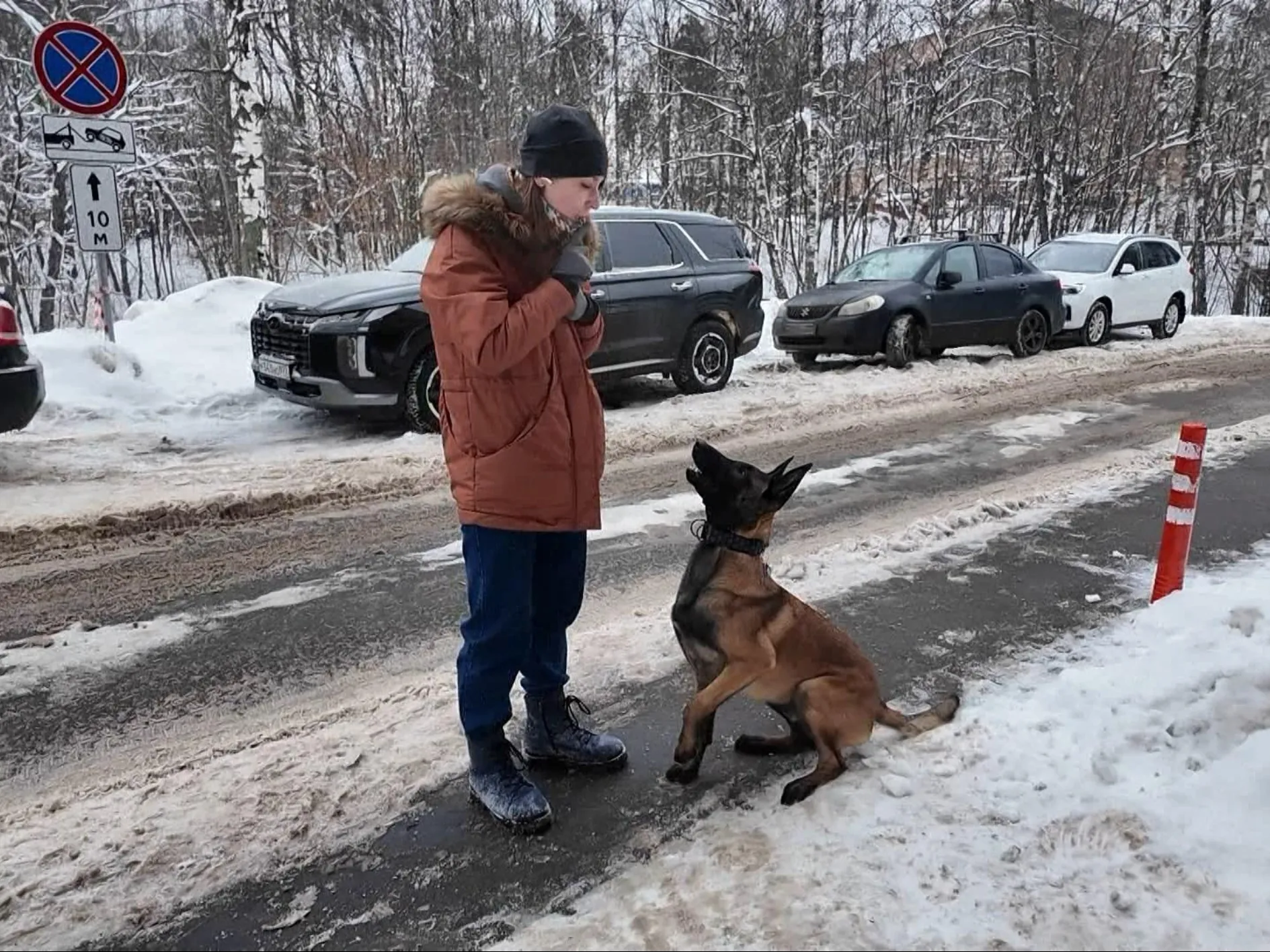 Фото: Раменский медиацентр