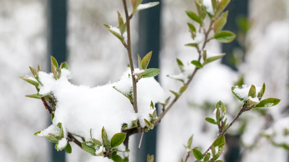 Фото: медиасток.рф