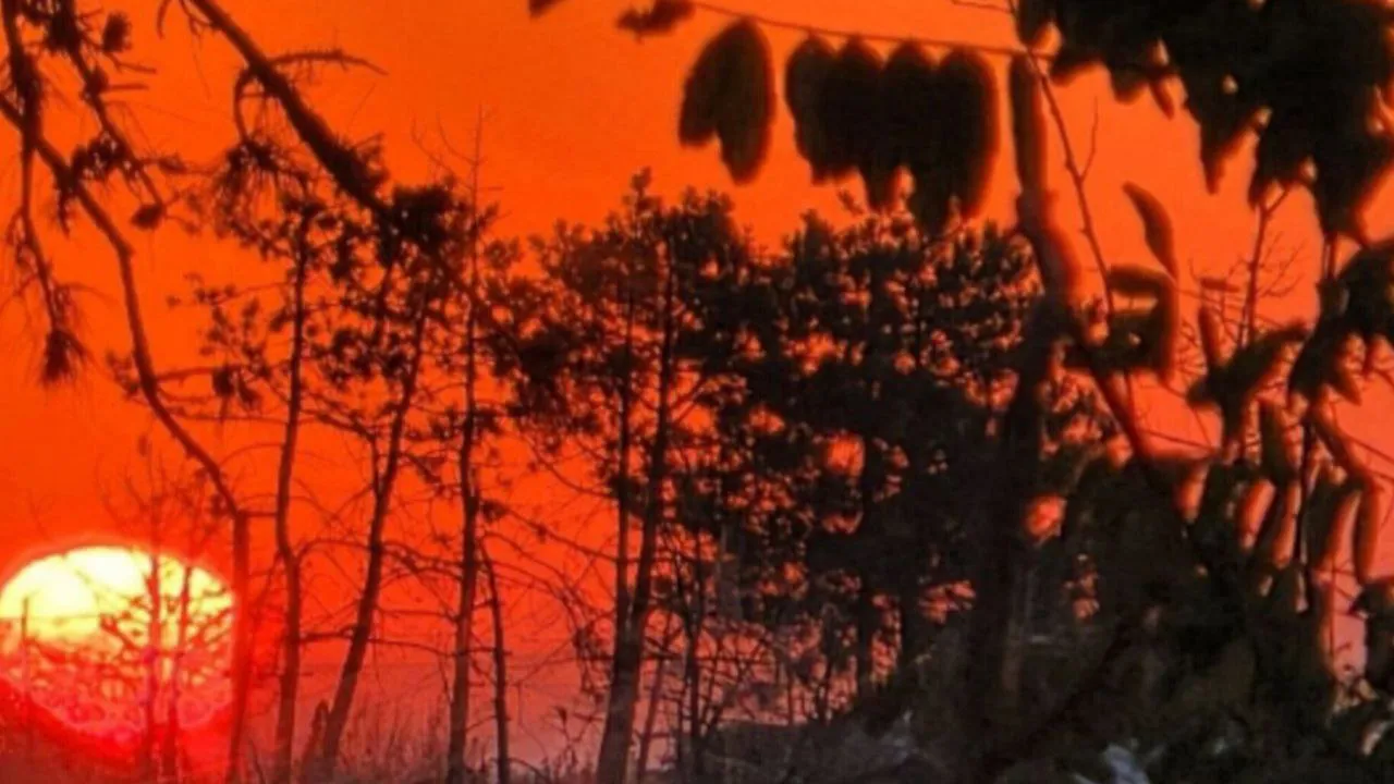 REGIONS/Анастасия Широкая