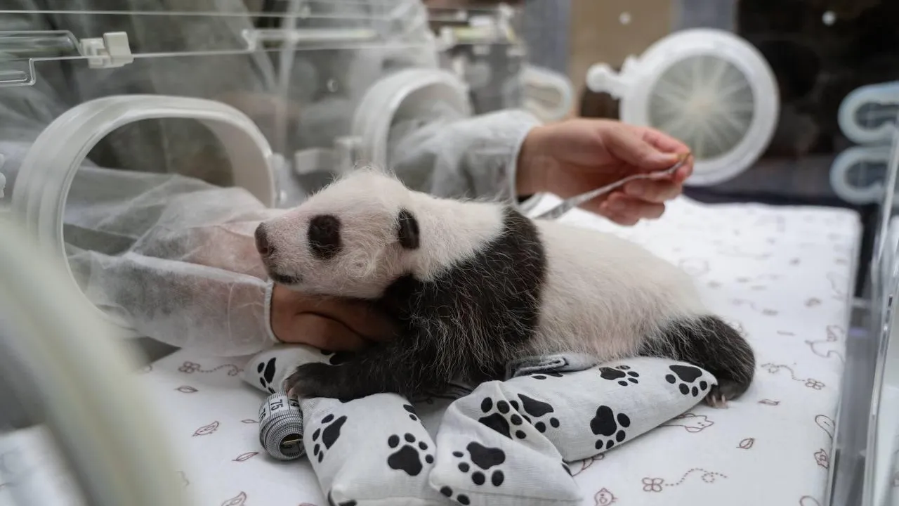 Источник: Telegram-канал Сергея Собянина