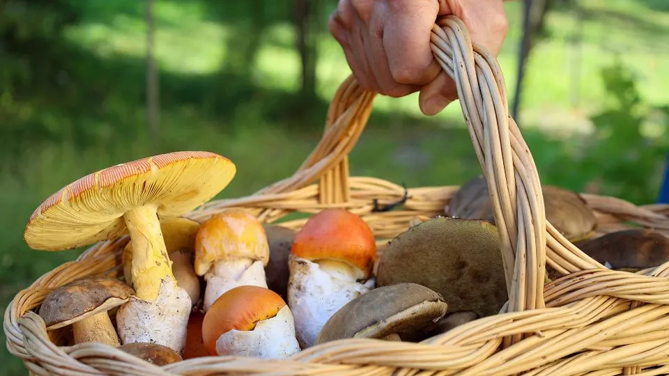 Фото: istockphoto.com