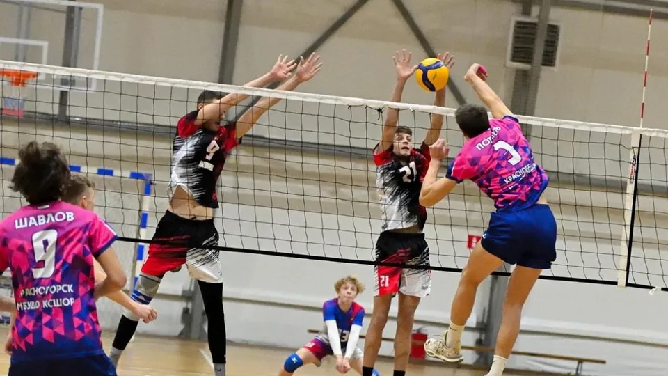 Фото: пресс-служба администрации г. о. Красногорск