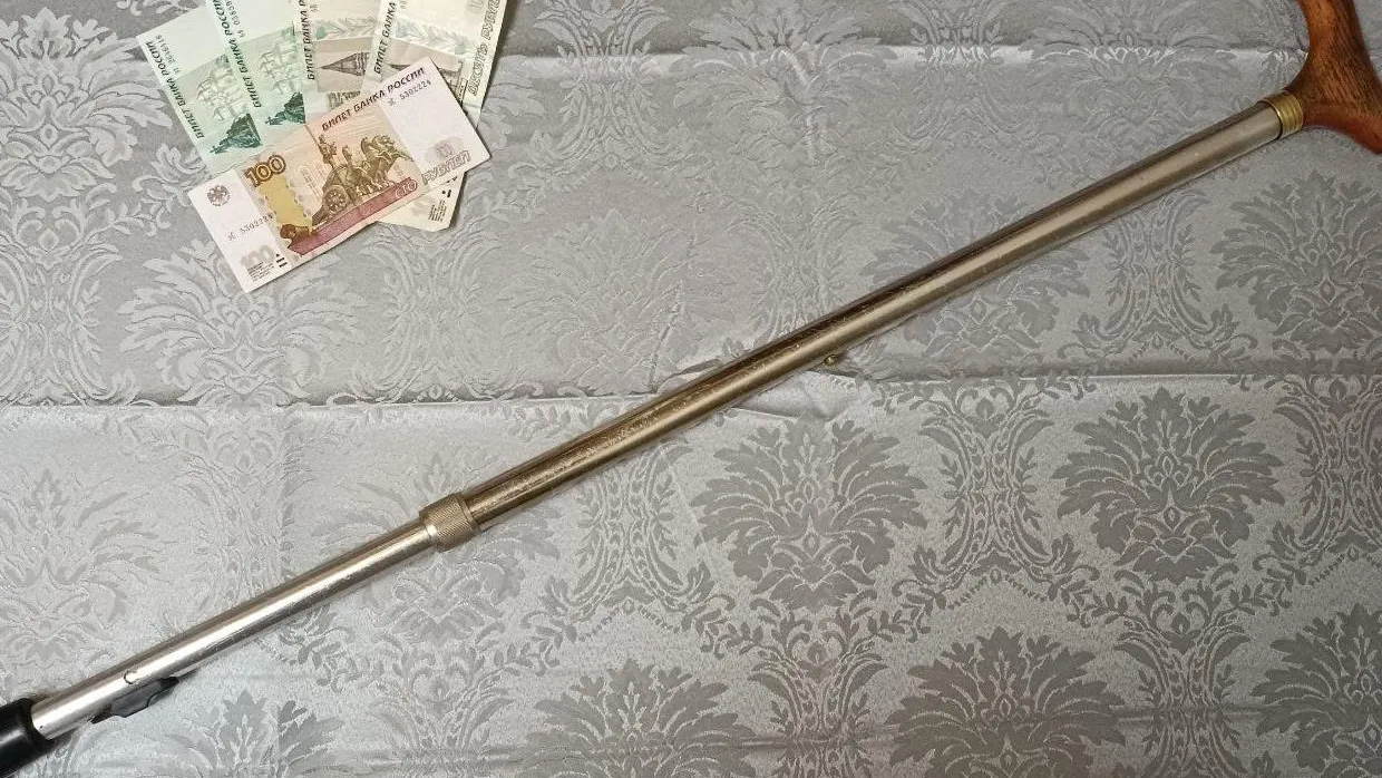 Фото: Министерство социального развития Московской области