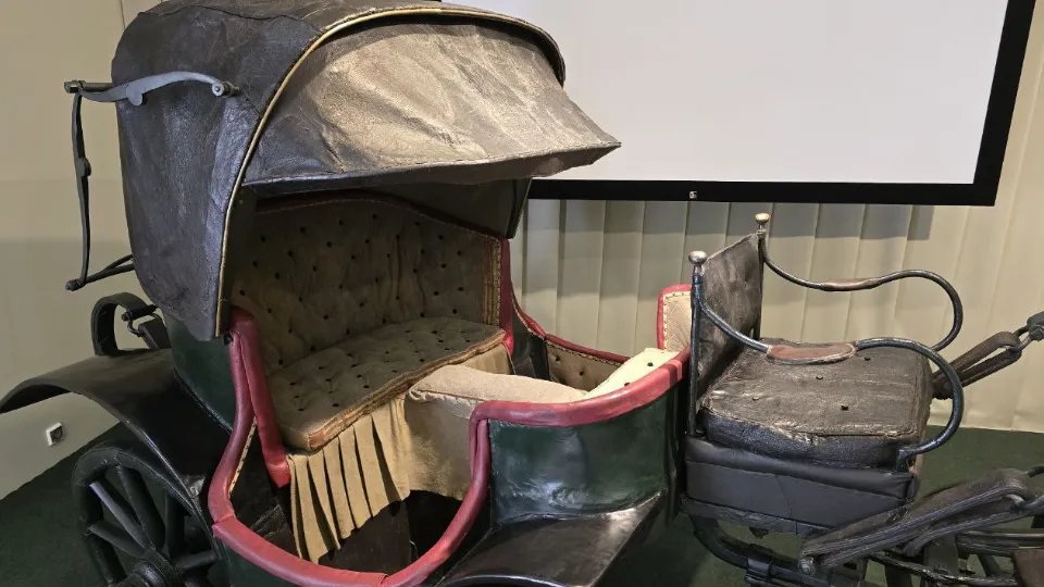 Фото: МедиаБанк Подмосковья/Яна Шаливская