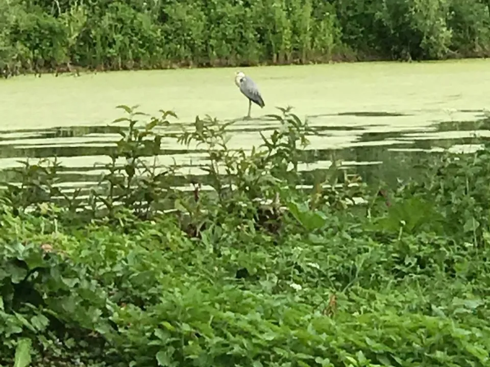 Фото: REGIONS/Елена Фурман