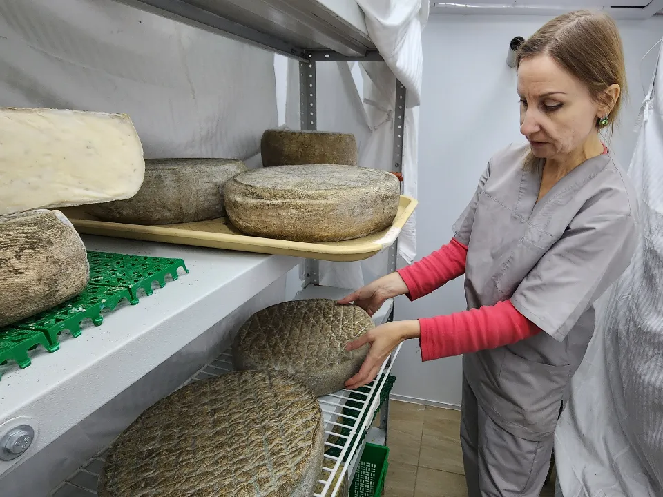 Фото: МедиаБанк Подмосковья/Валентина Максимова&nbsp;