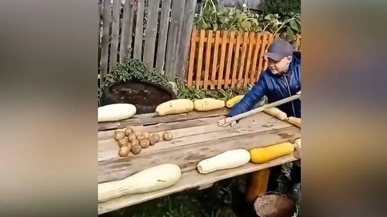 Умелец из Пушкино соорудил бильярд из овощей