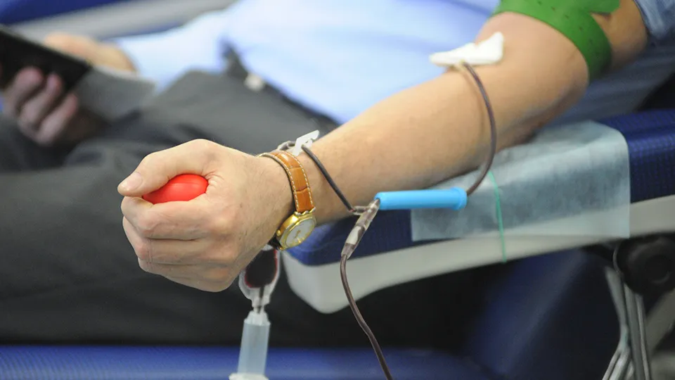 Фото: медиасток.рф