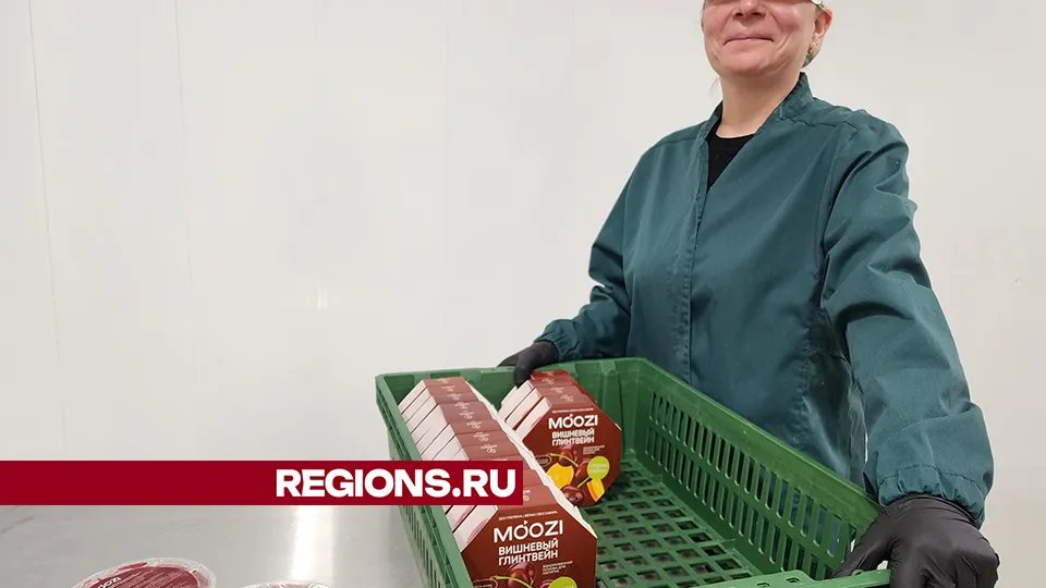 Фото: МедиаБанк Подмосковья/Екатерина Мелкозерова